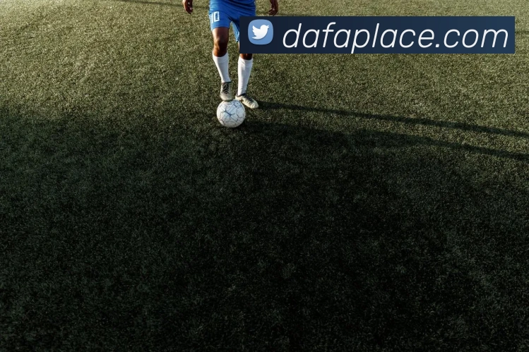 App Interface Preview