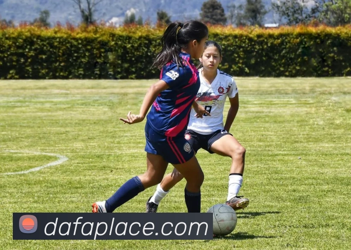 大发官网APP 封面图